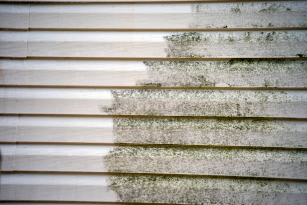 Best Foreclosure Cleanout  in Glendale, MO
